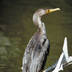 profile_photo