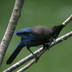profile_photo