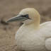 profile_photo