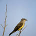 profile_photo