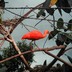 profile_photo