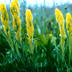 profile_photo