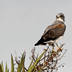 profile_photo