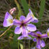 profile_photo