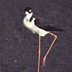 profile_photo
