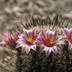profile_photo