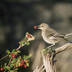 profile_photo
