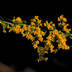 profile_photo