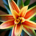 profile_photo