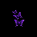 profile_photo