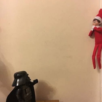Img_1266_normal